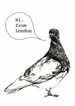SE Pigeon