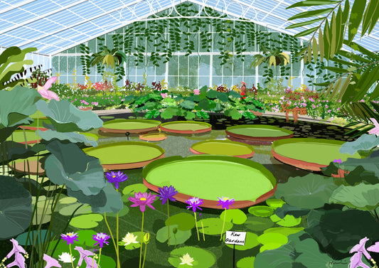 NI Kew