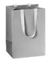 Z Mini Bag Silver