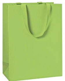 Z Large Bag Light Green